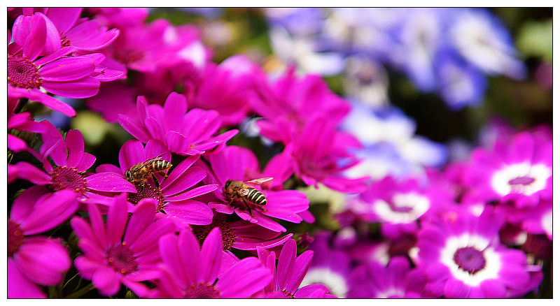 DSC_9817.jpg