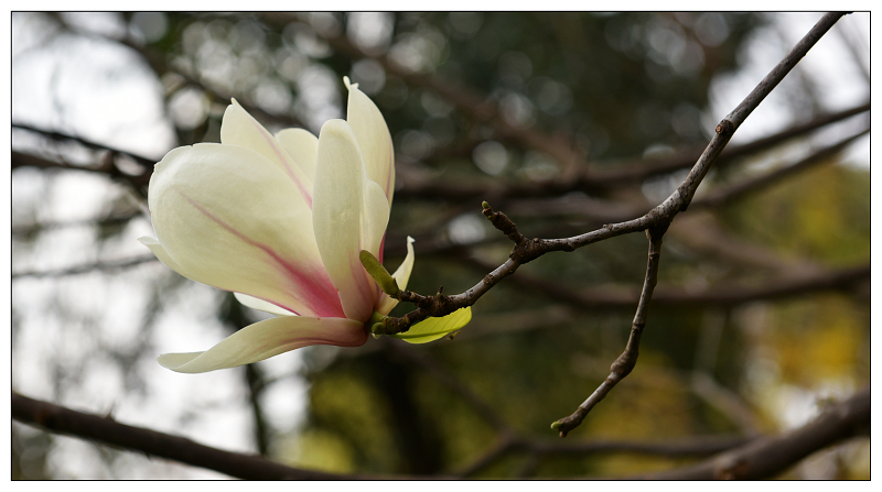 DSC_9871.jpg