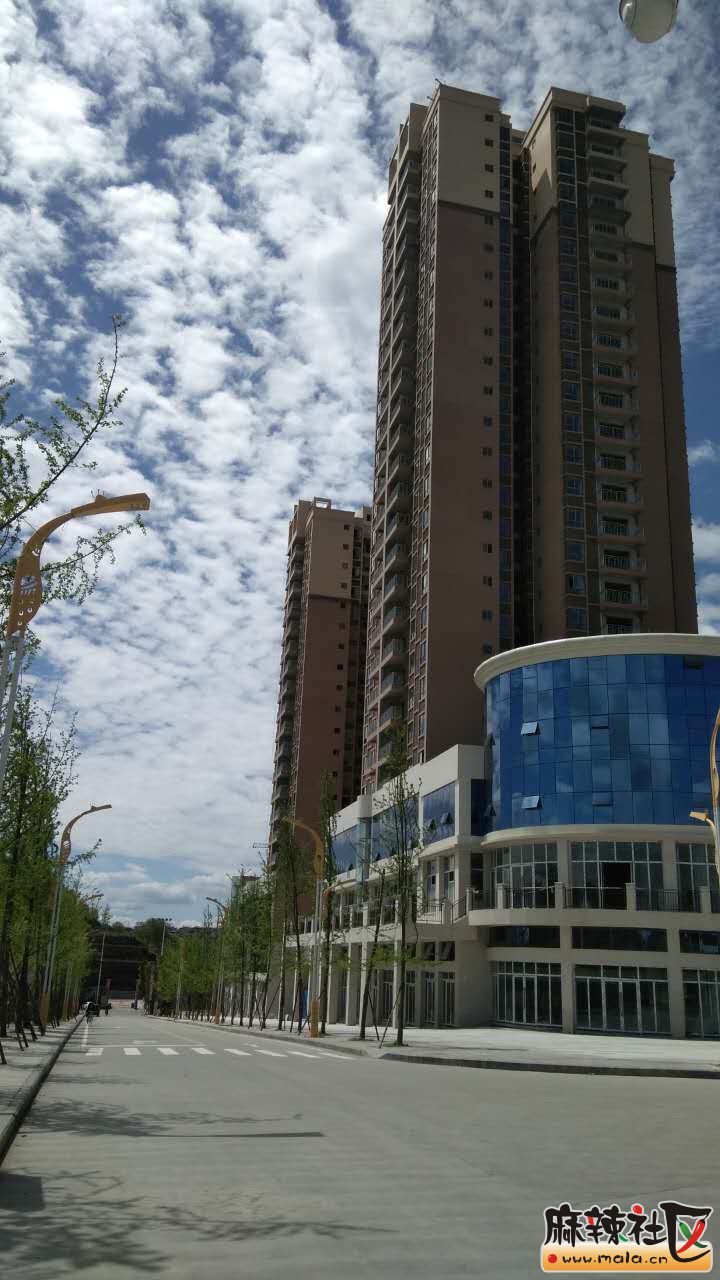 51227164.jpg