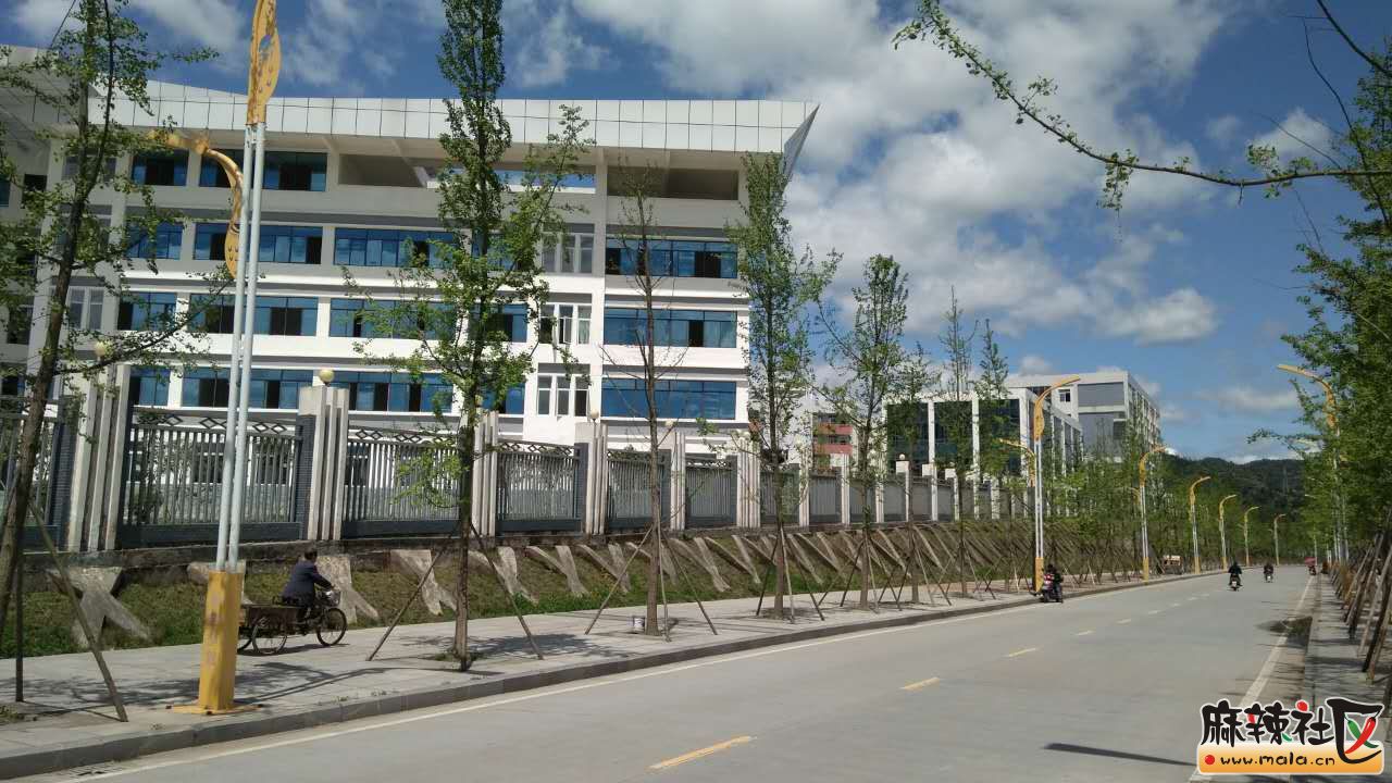 690641447.jpg
