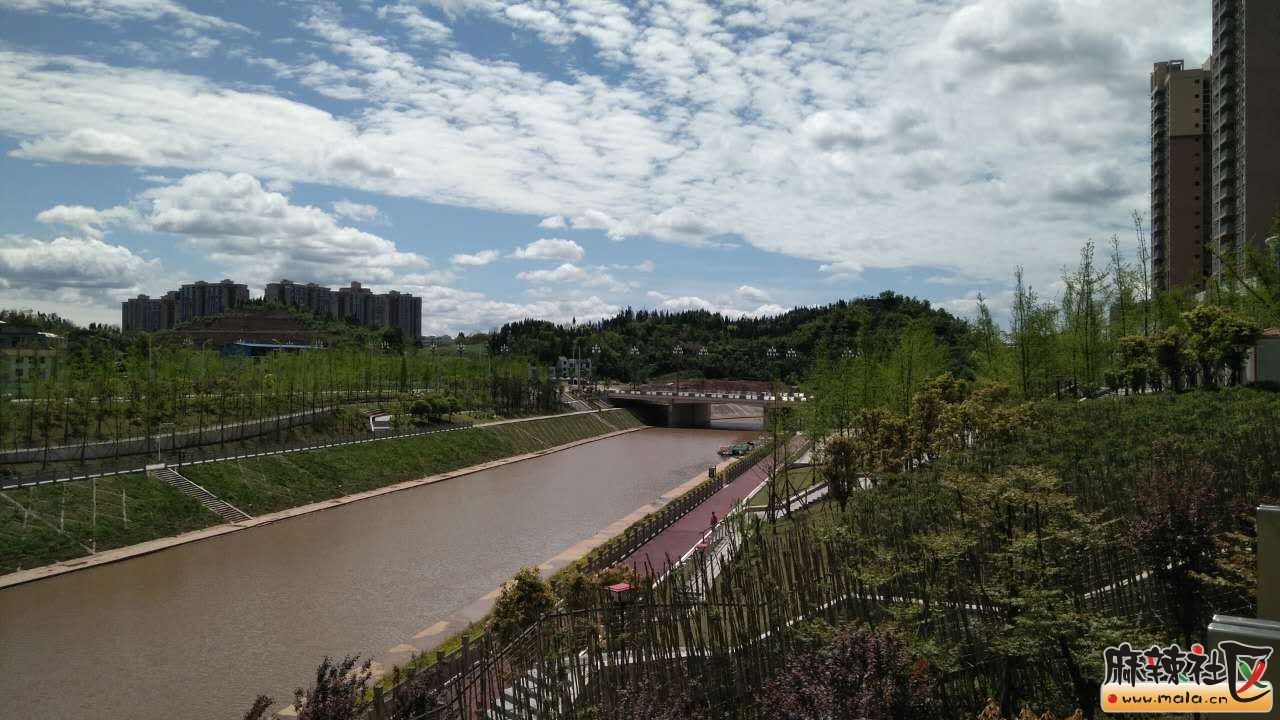 933742812.jpg