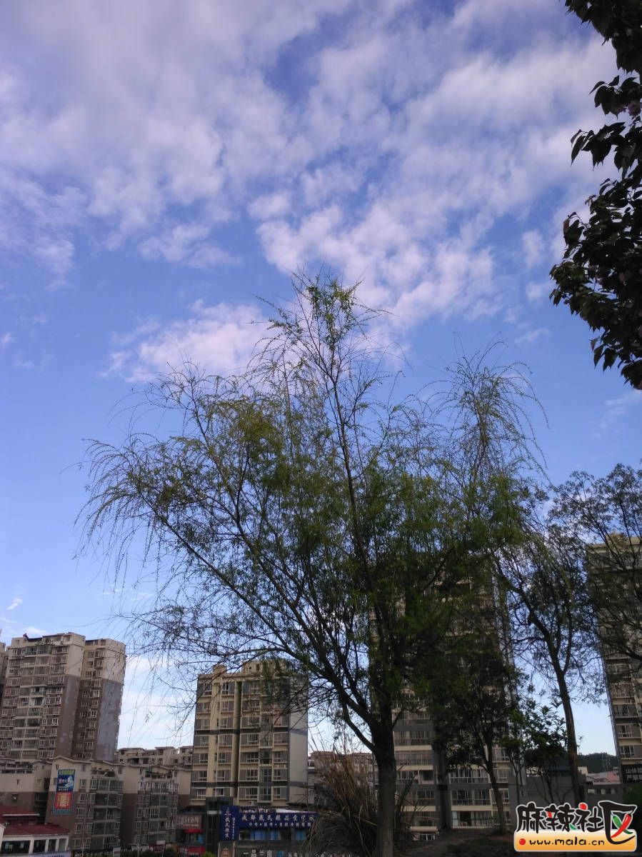 214353gjeefpspsr4j0jrp.jpg