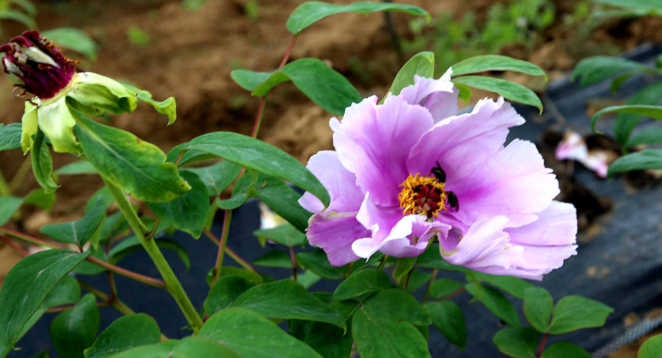 S98A8558_.jpg