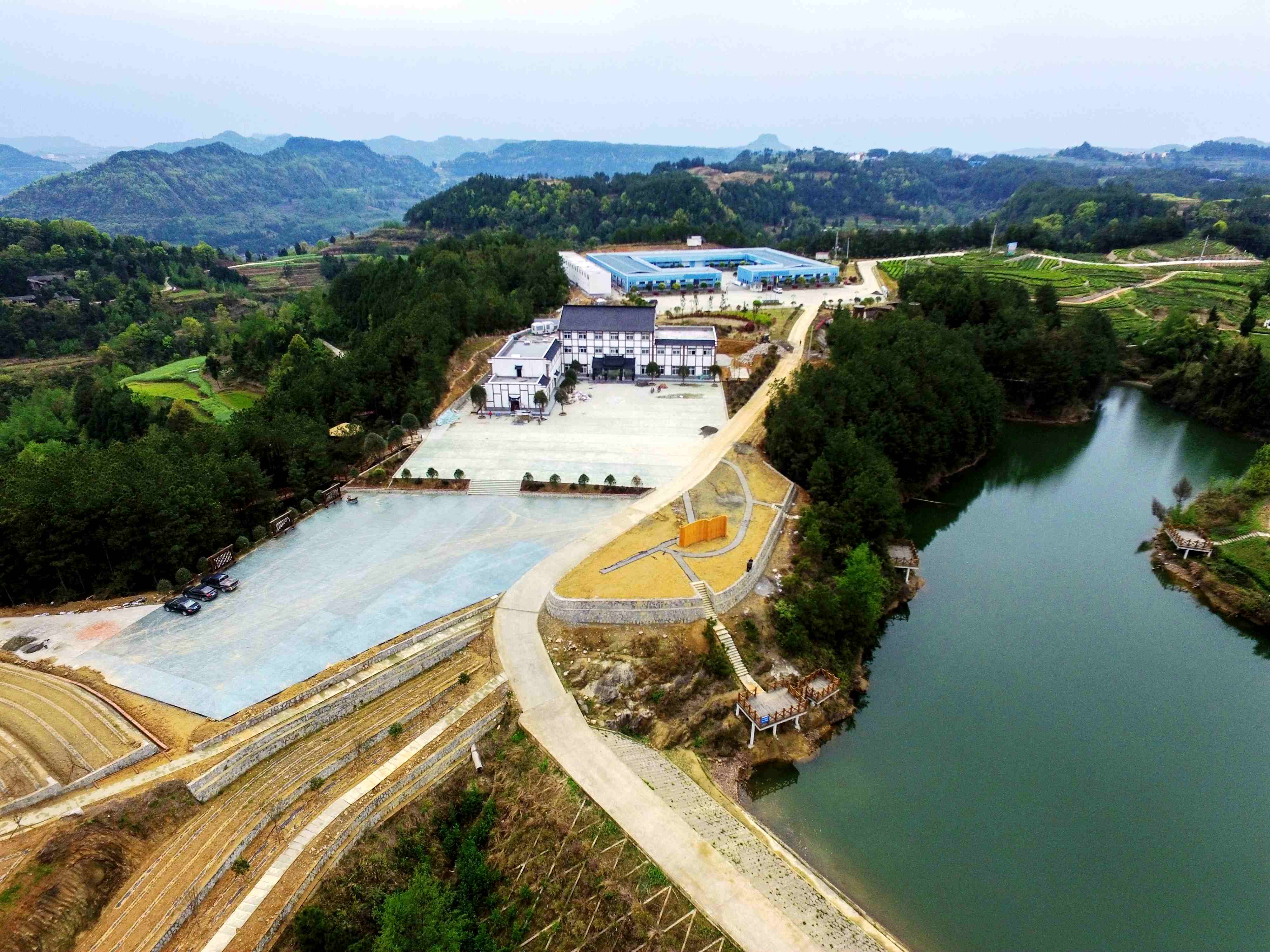 巴中市平昌县茶叶发展之《鹿鸣赋》