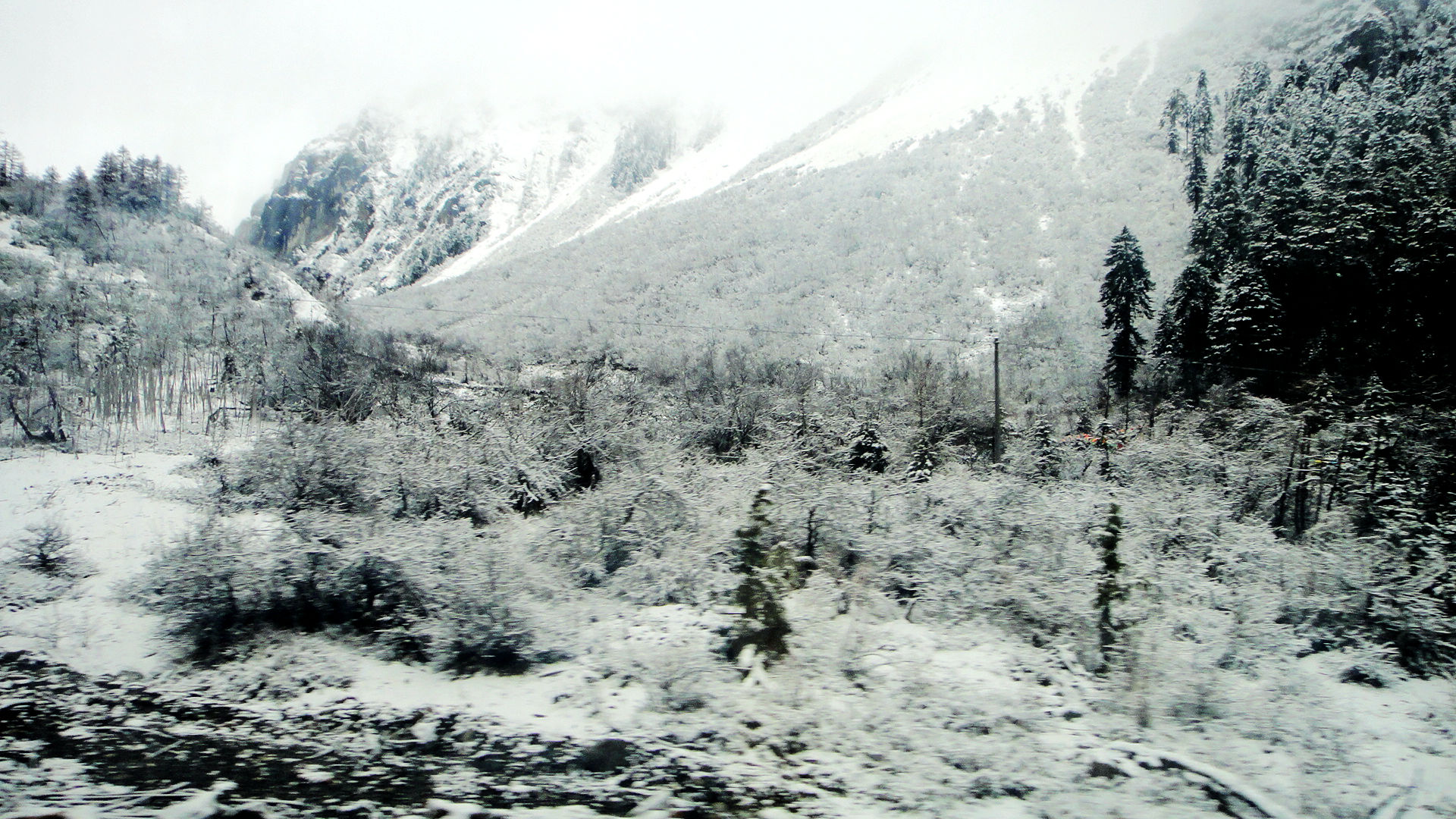 DSC06960.JPG