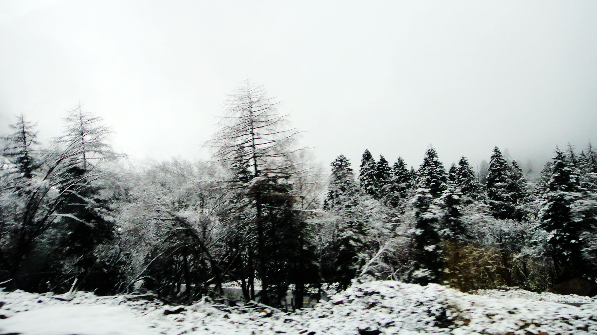 DSC06965.JPG