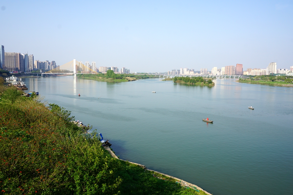 南充的母亲河嘉陵江春来江水绿如蓝