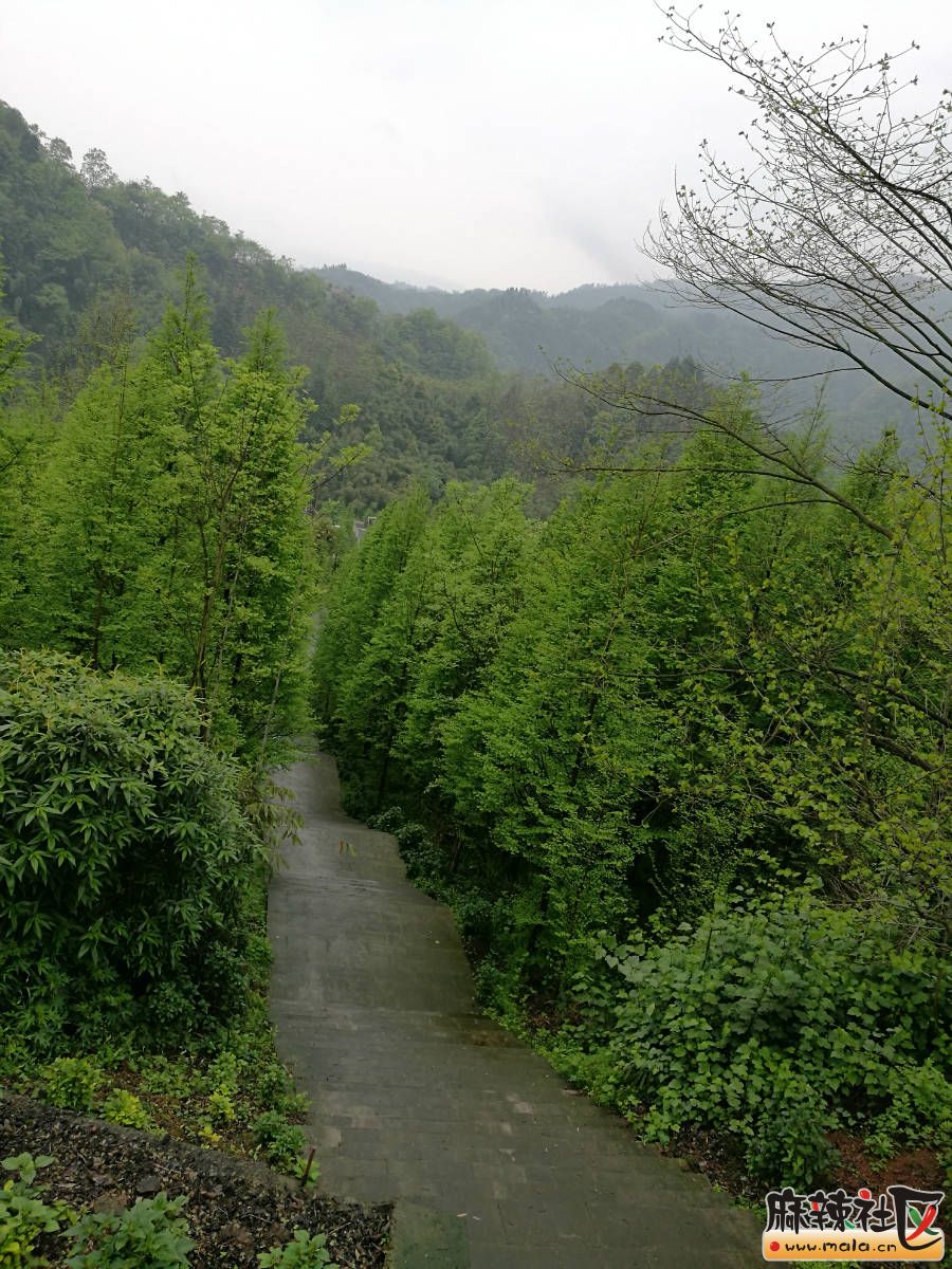 231056p1zf8kt8zbppkbb8.jpg