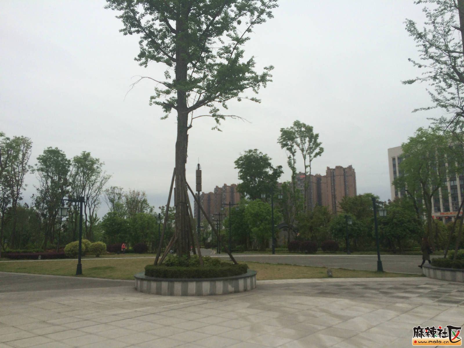 101634qdlr98hhri72ggsd.jpg
