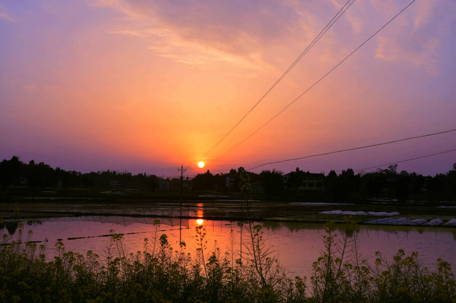 第四届美在身边 梦圆营山网络摄影展赛作品《夕阳晚景》(相机类)