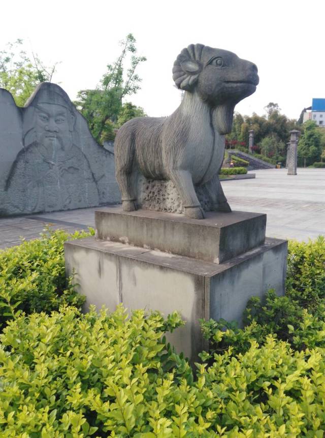 image.jpeg