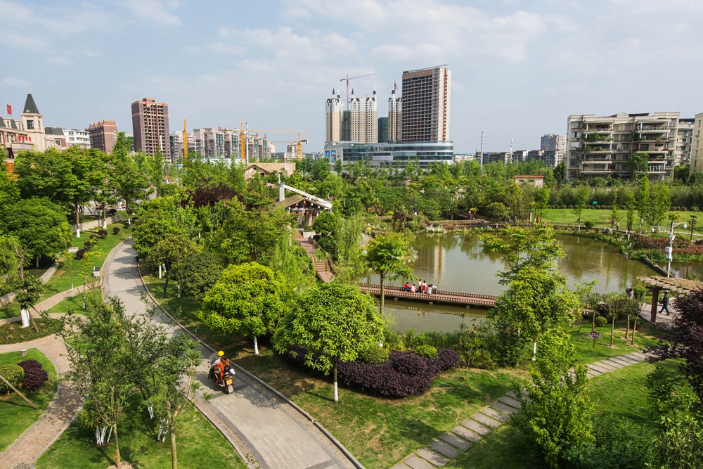 阳春三月湿地美