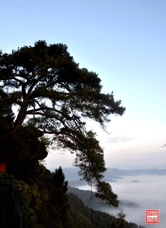 第四届"美在身边 梦圆营山"网络摄影展赛作品《迎客松》(相机类)