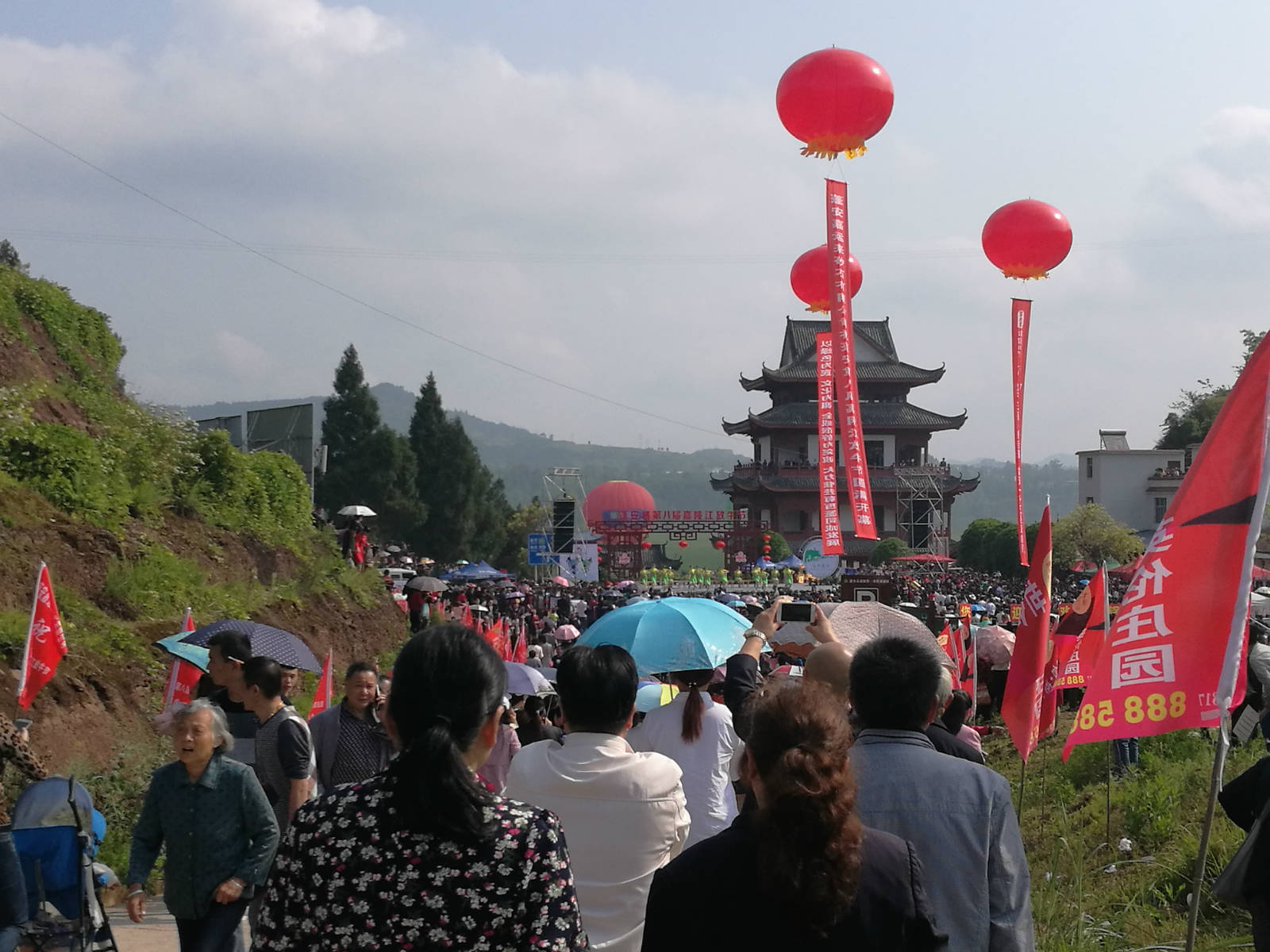 蓬安县第八届嘉陵江放牛节