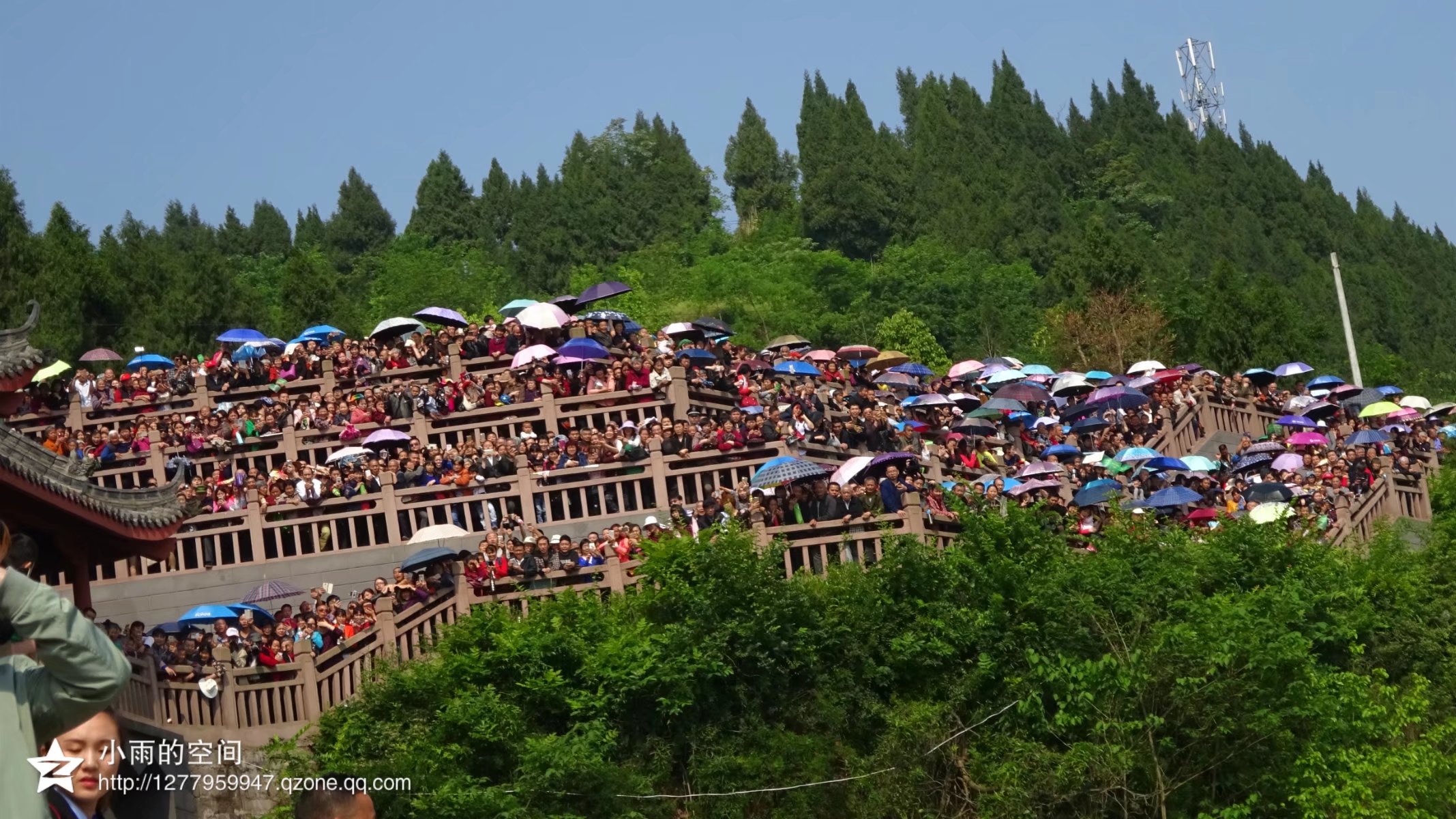 嘉陵江最美生态奇观,气势恢弘的蓬安第八届放牛节剪影片段