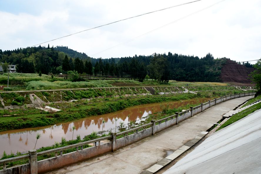 生动诠释和再现老地名深厚历史文化内涵蓬安柳滩乡种植垂柳再现柳树