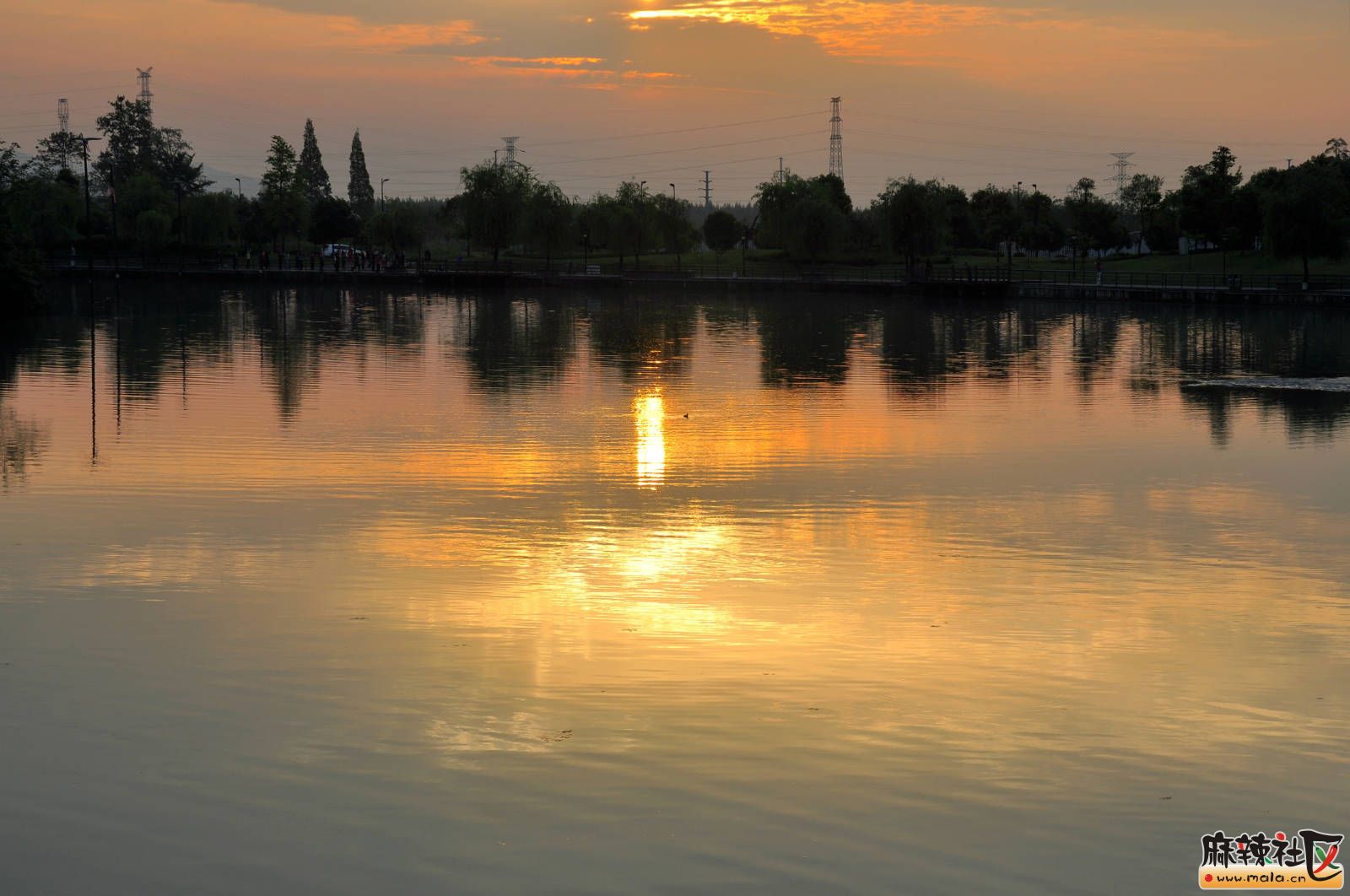 112206y71v7q883vlkmqm7.jpg