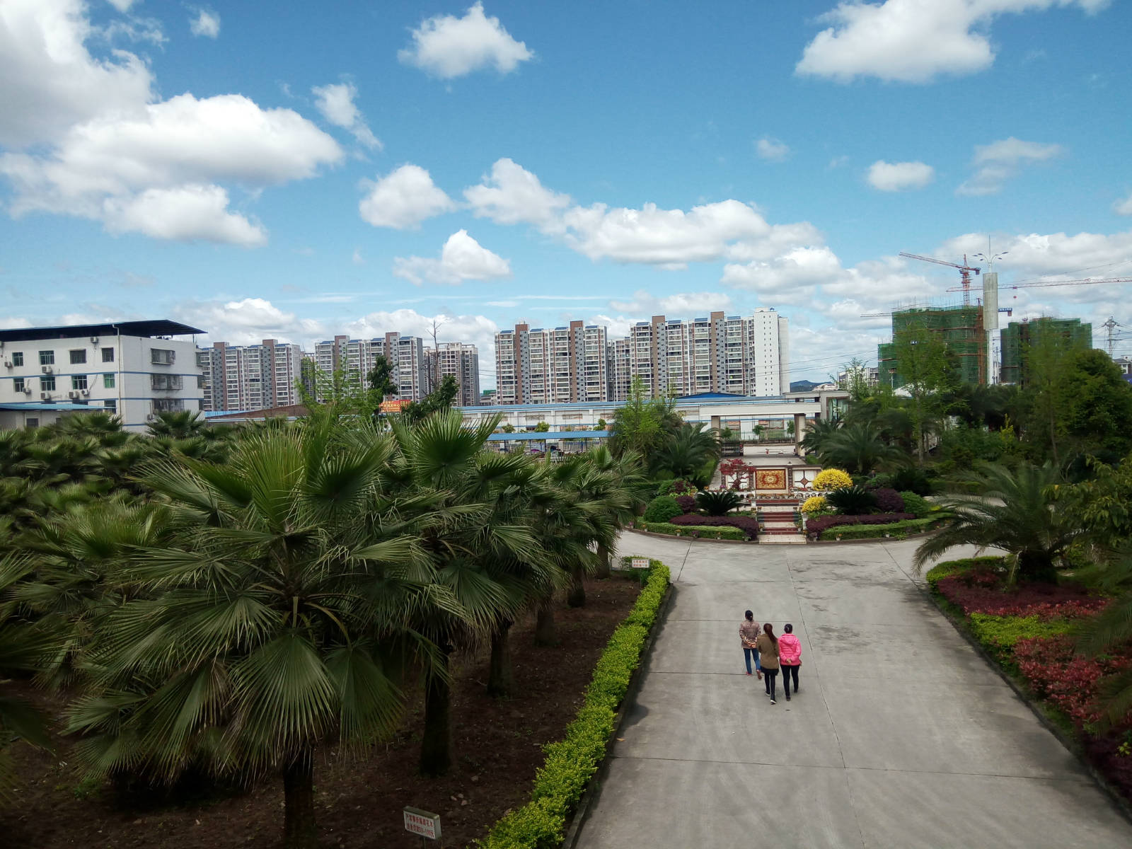 160043te6c8c2ivzcclruz.jpg