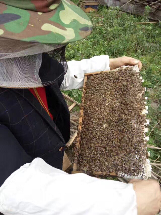 20170502132735.jpeg