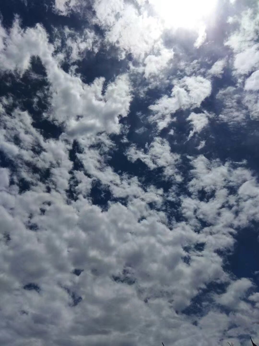image.jpeg