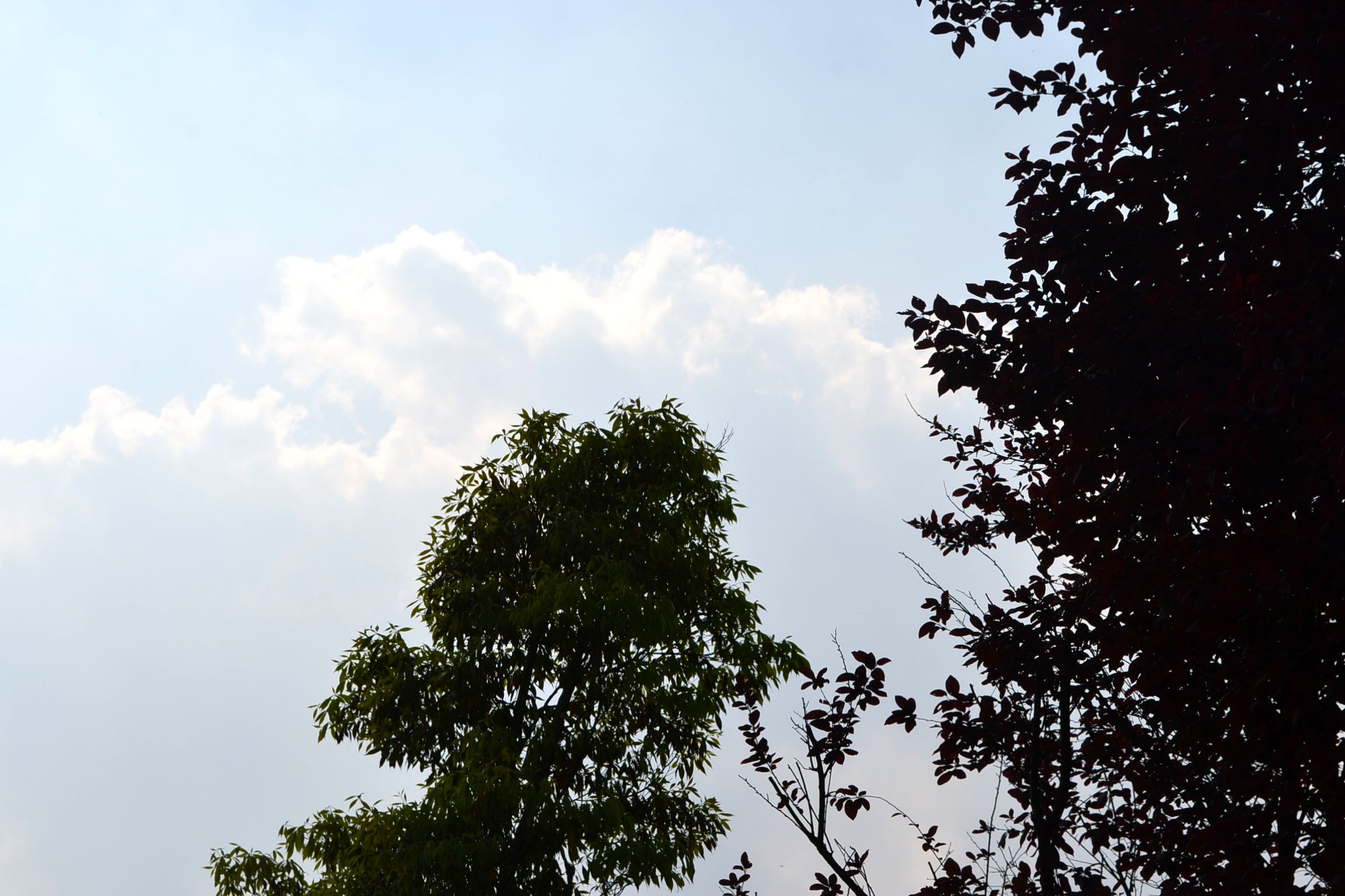 DSC_2546.JPG