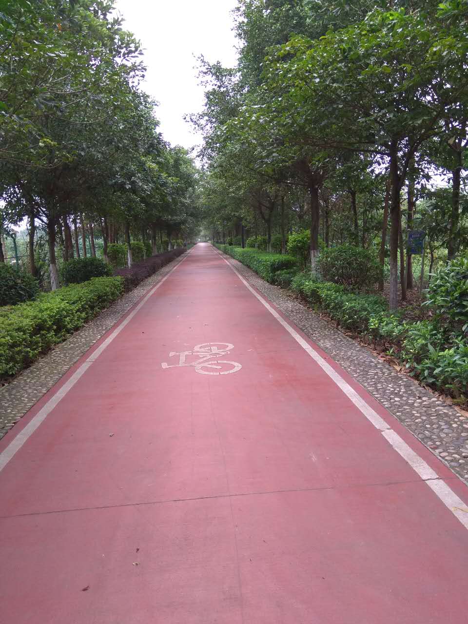 134847bk7vb027qbm1bv62.jpg