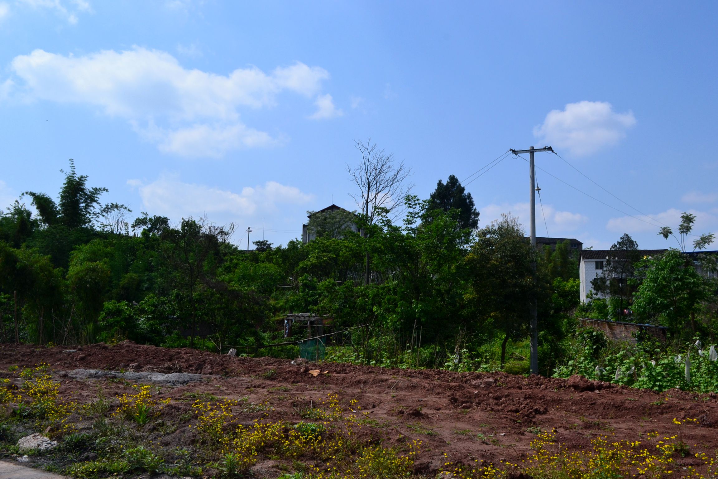 DSC_2555.JPG