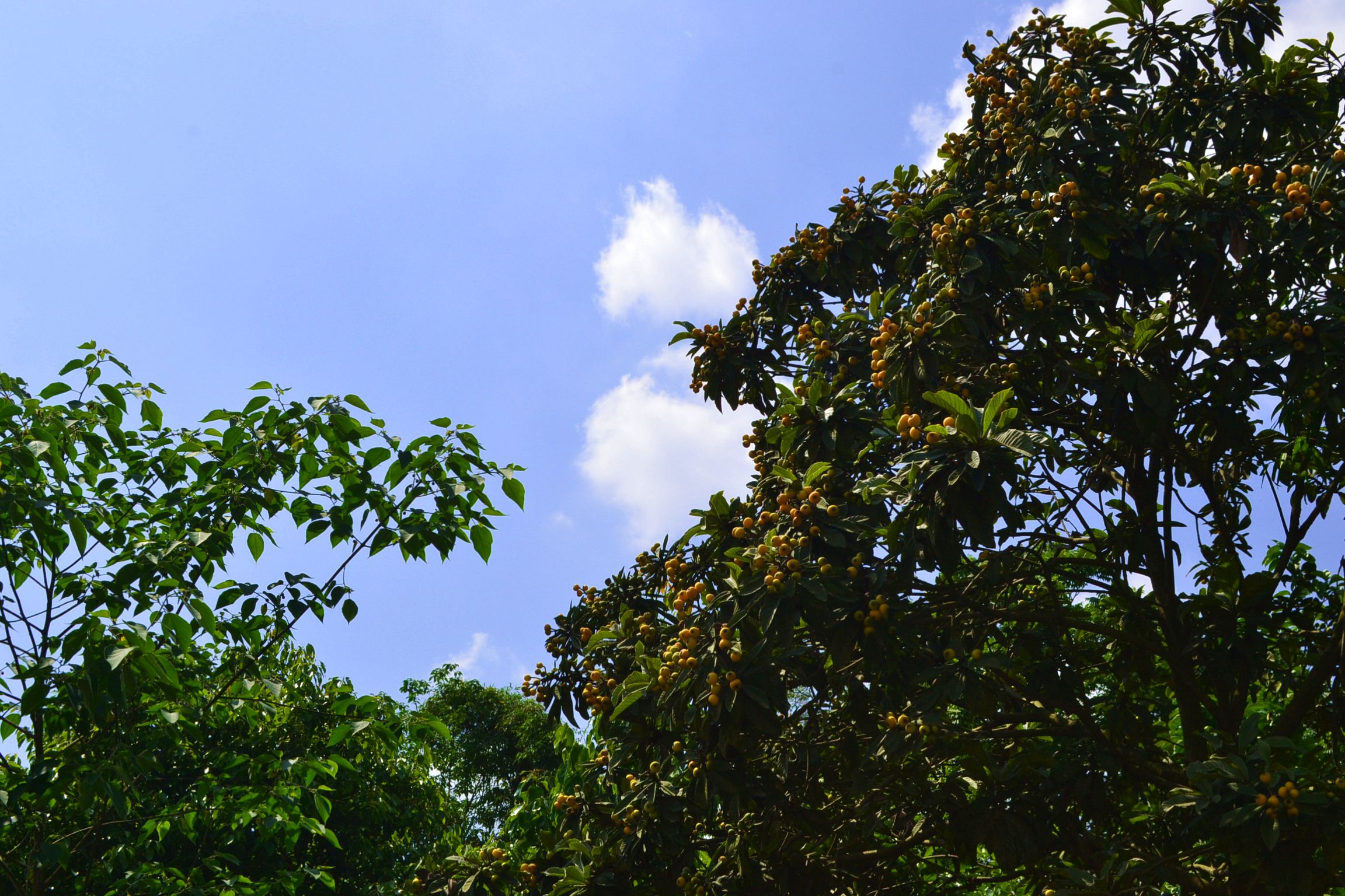 DSC_2564.JPG