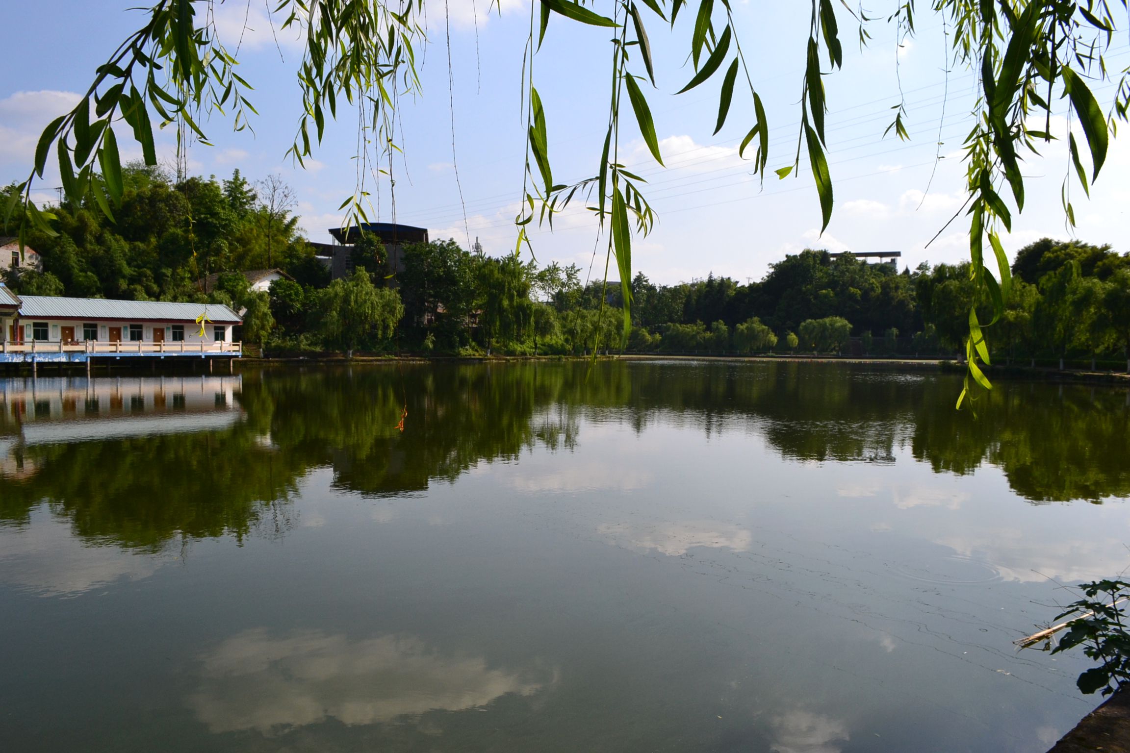 DSC_2622.JPG