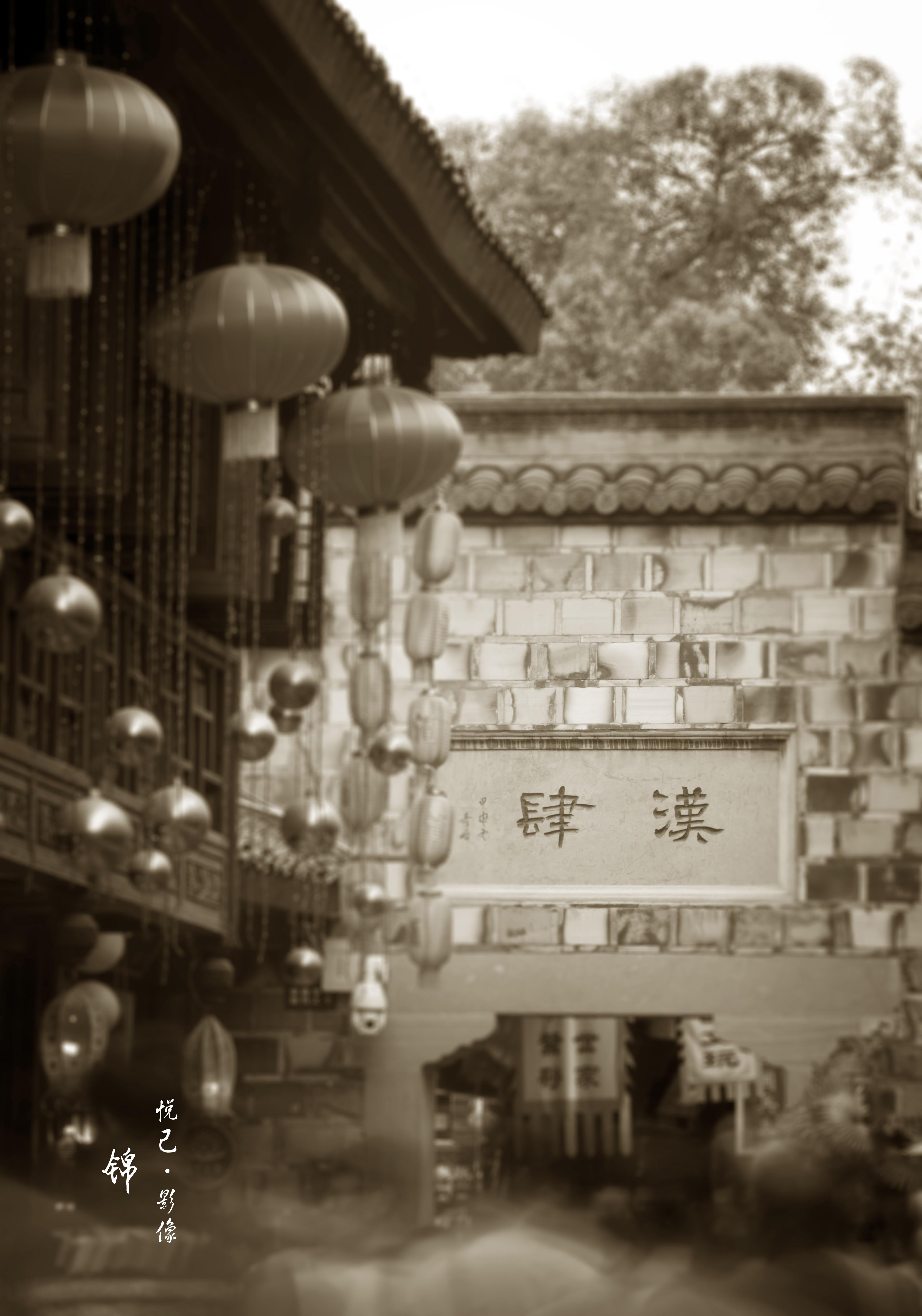 1L4B1317.jpg