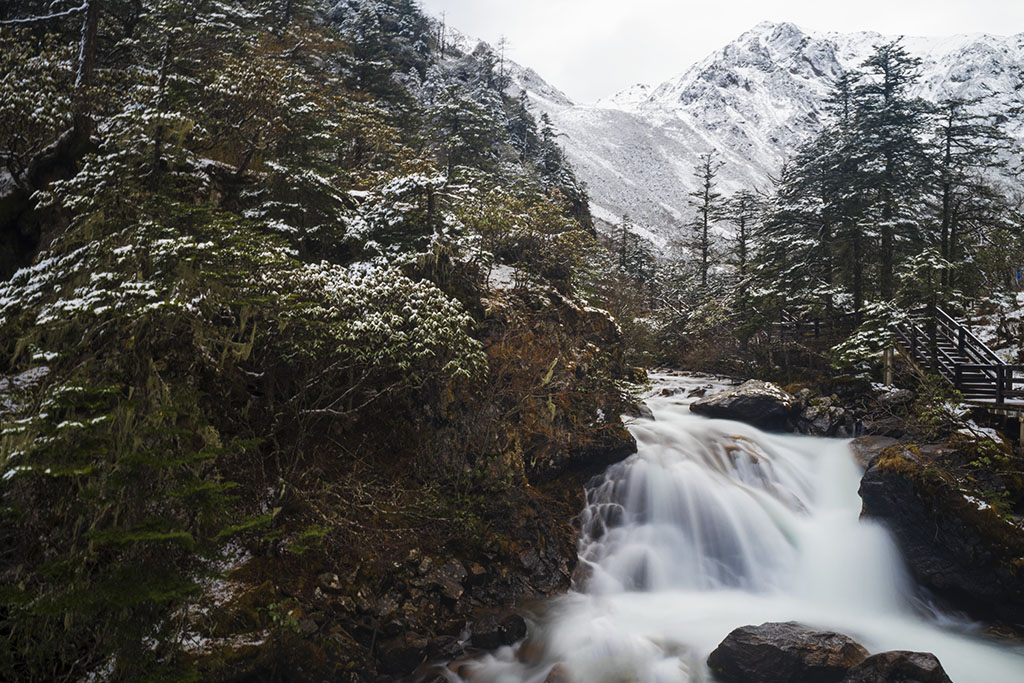 _DSC6568.jpg