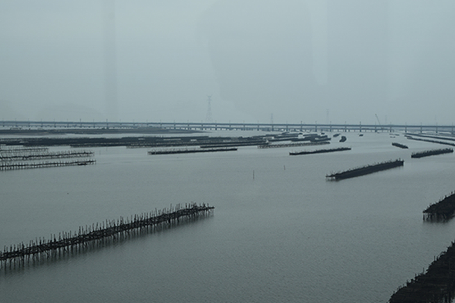 DSC_0574.JPG
