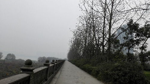IMG_20170123_130300.jpg