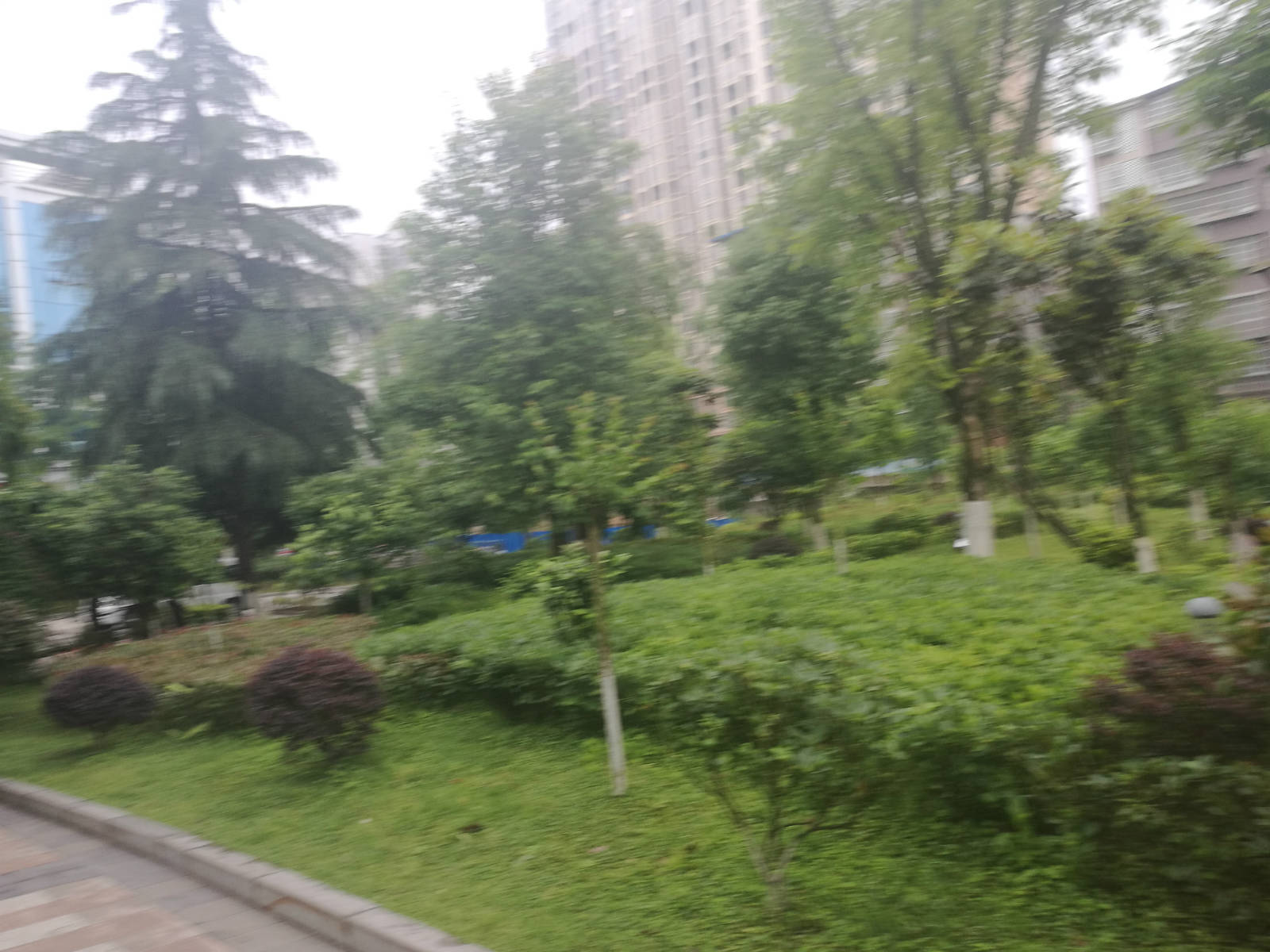 104927vaxrxg78f88xrugv.jpg
