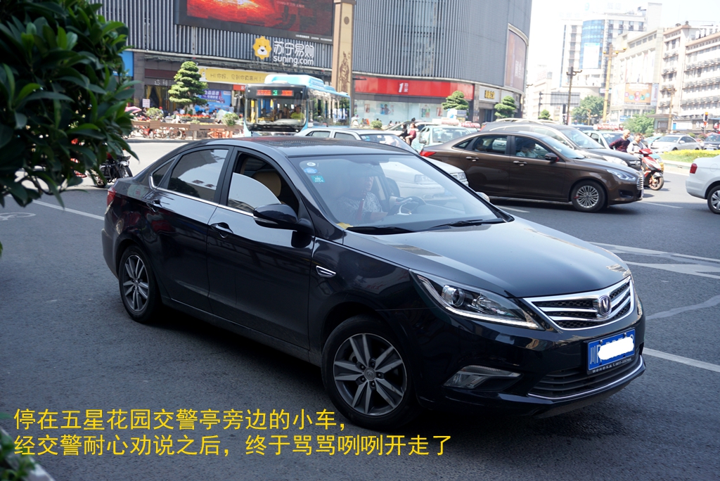 DSC08405_.jpg