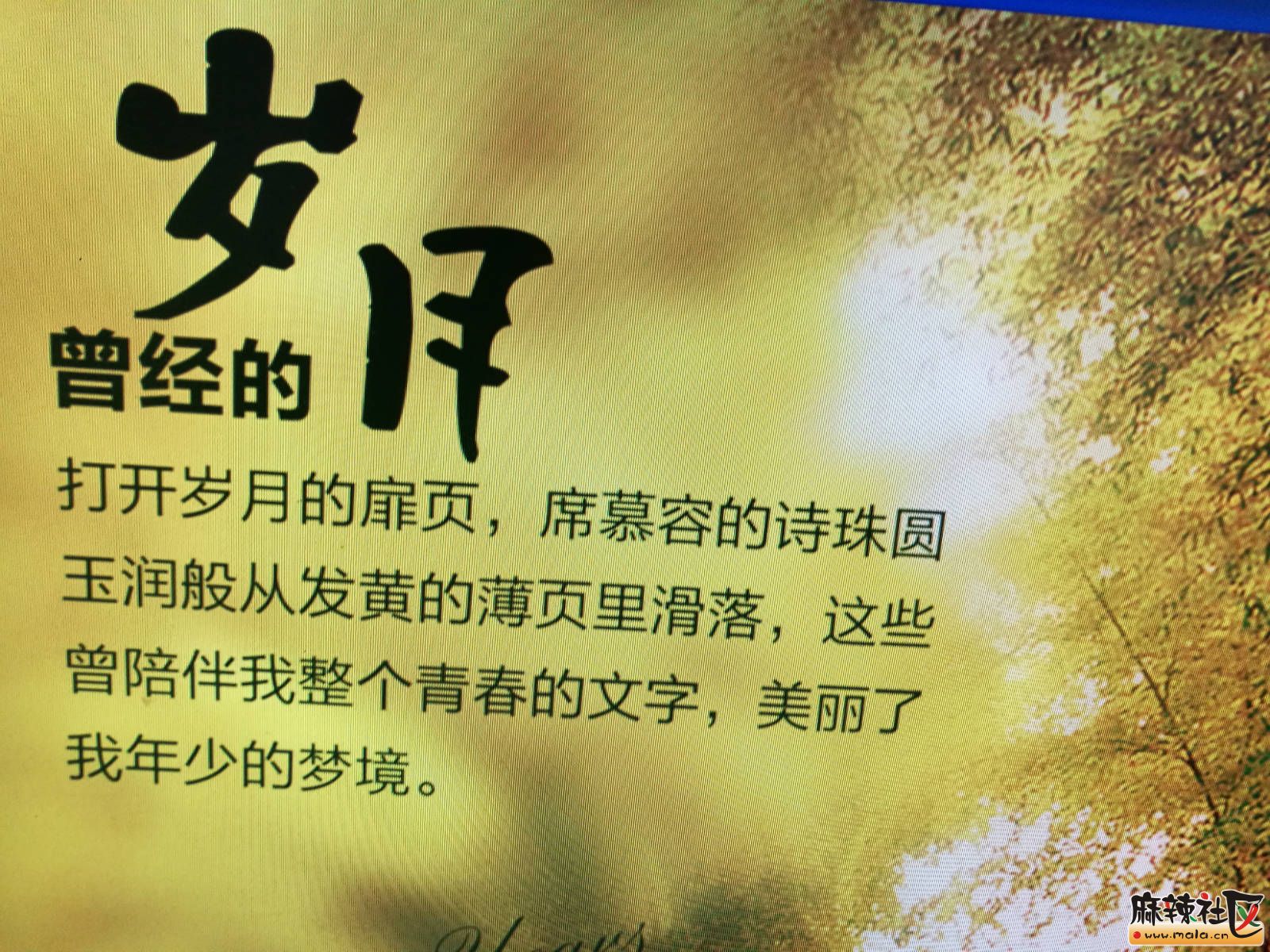 160134kwxn8pp28p2tzt9p.jpg