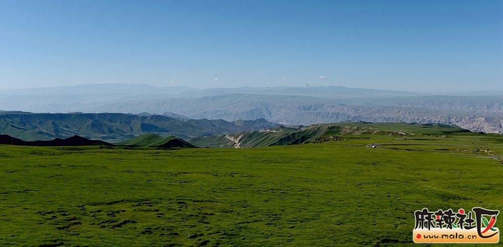 DSC_1979.JPG