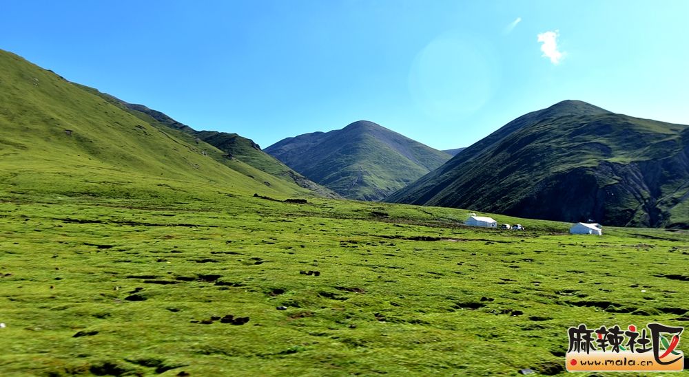 DSC_1986.JPG