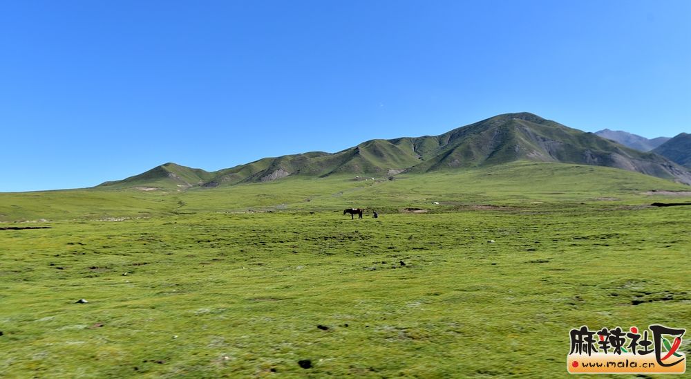 DSC_1987.JPG