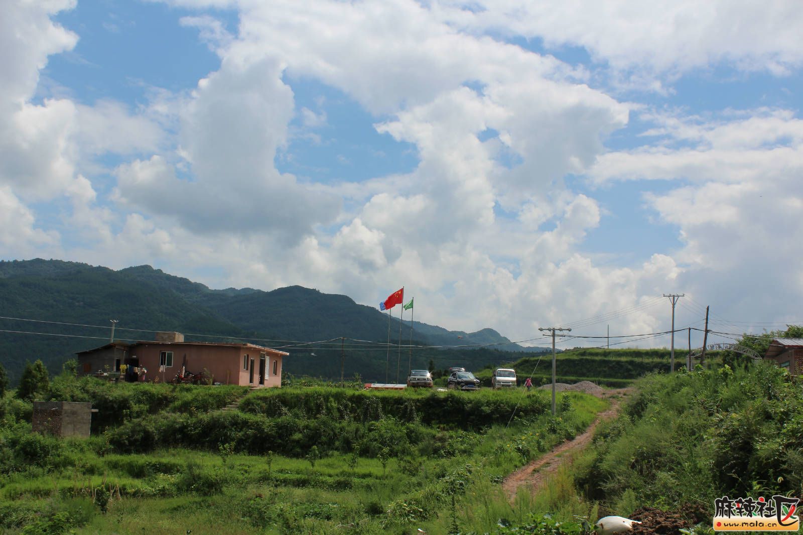 090604rchsorogigs5ckrs.jpg