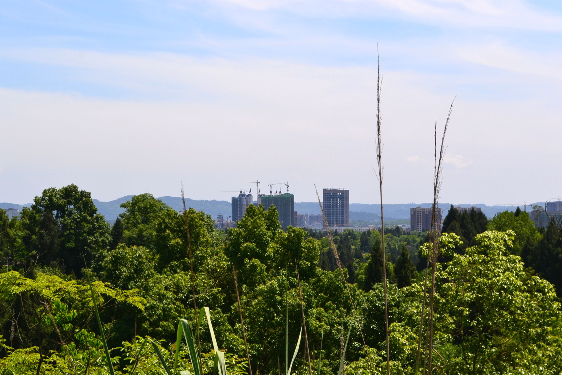 DSC_2645.JPG