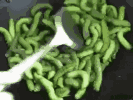 3.gif