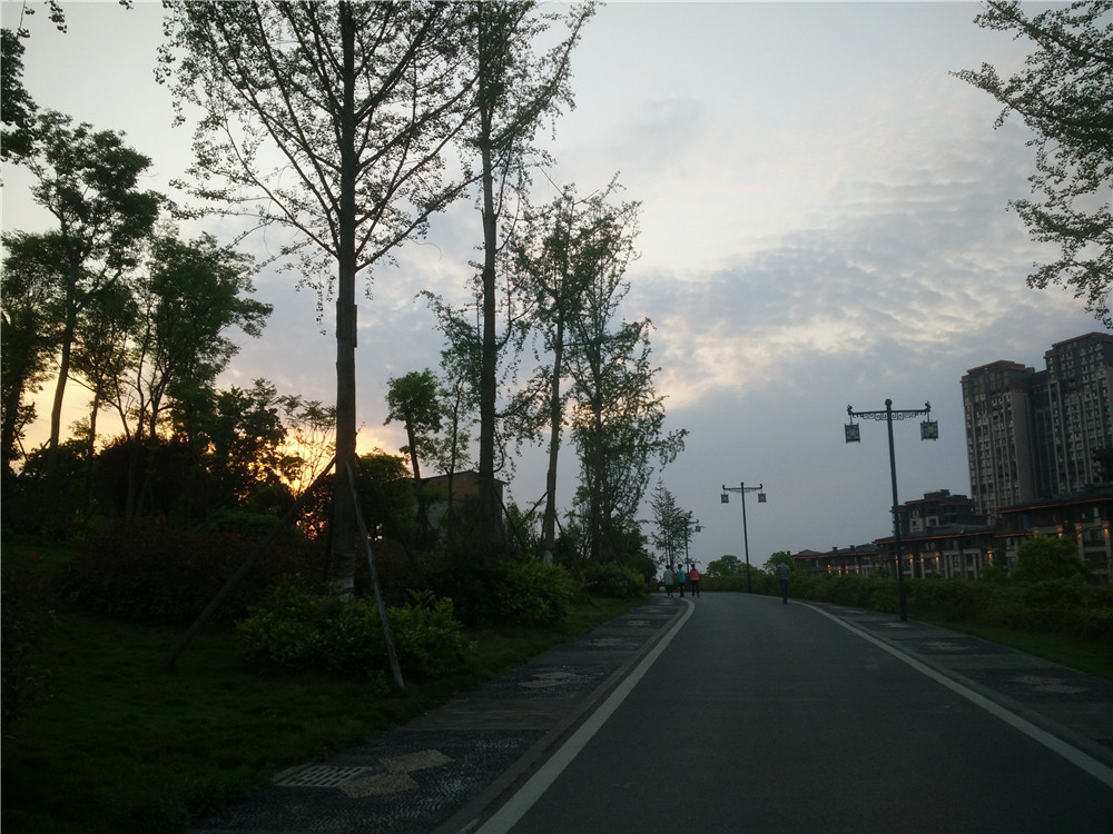 IMG_20170504_192005.jpg