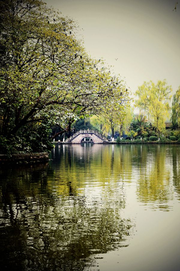 DSC_1624__.jpg