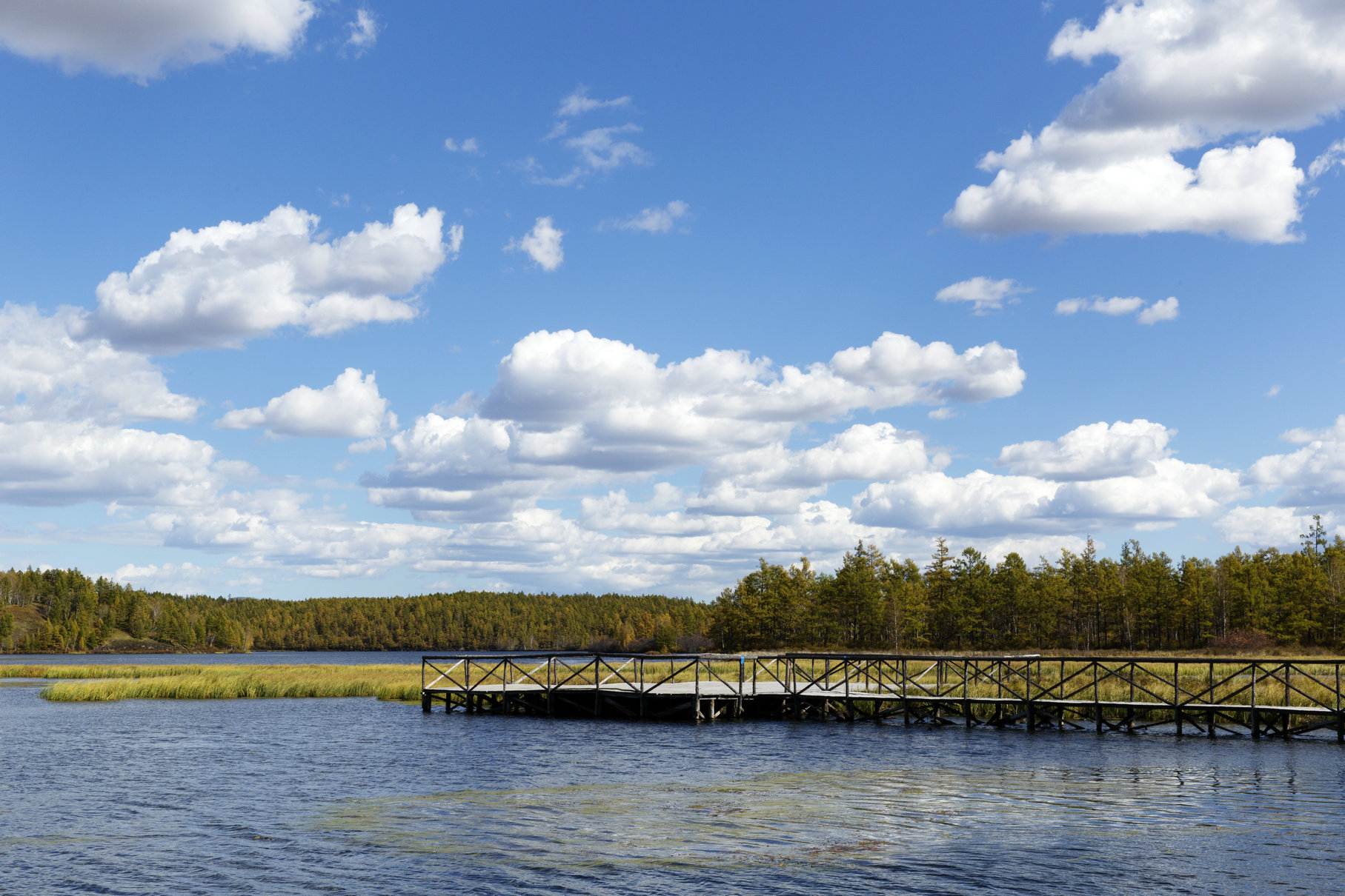 [走遍四川] 阿尔山鹿鸣湖