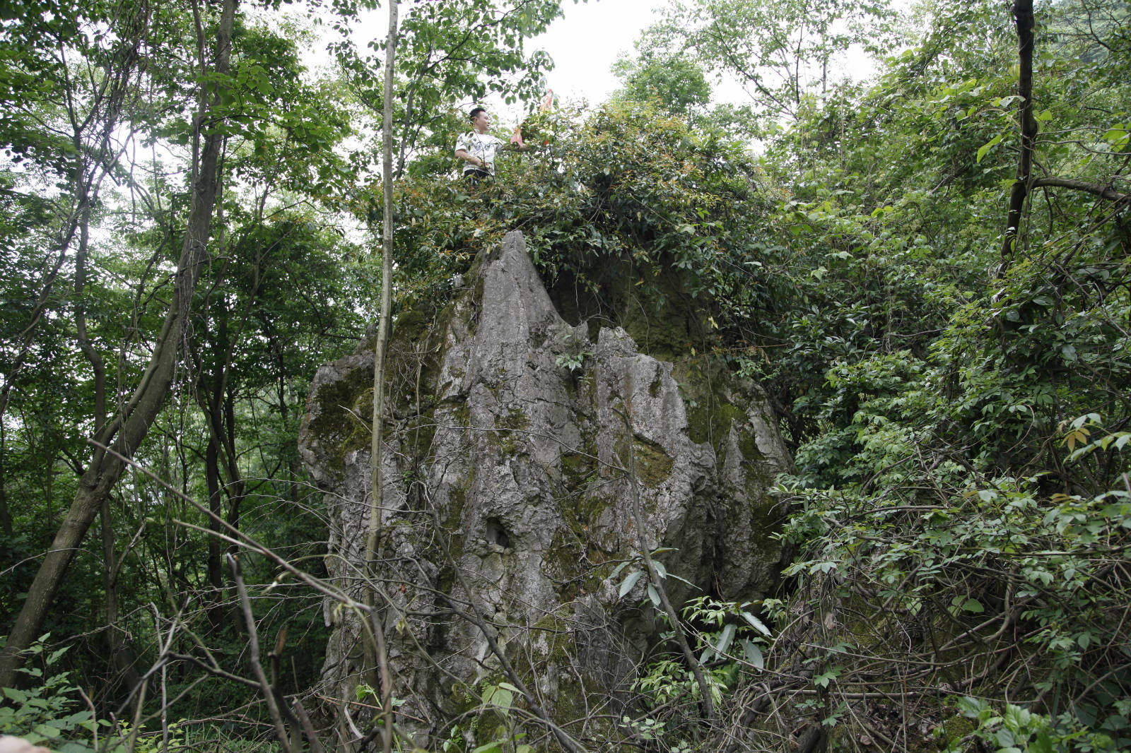 103751ayasalyp7py7pp13.jpg