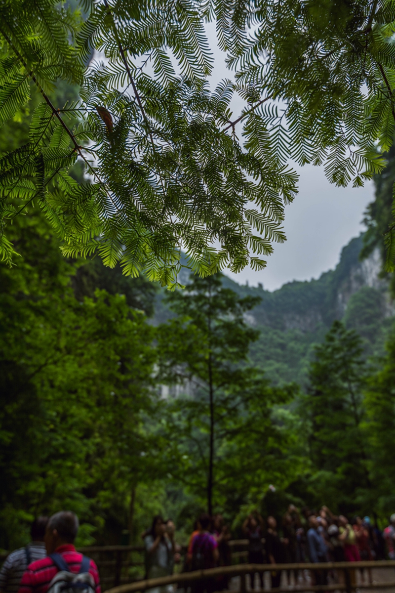 DSC_4044.jpg