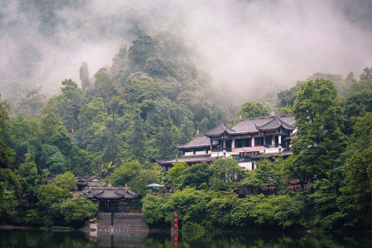 四川旅遊青城山滿眼山林皆翠綠