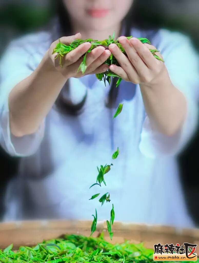 204941rrty6elrpeah7y75.jpg