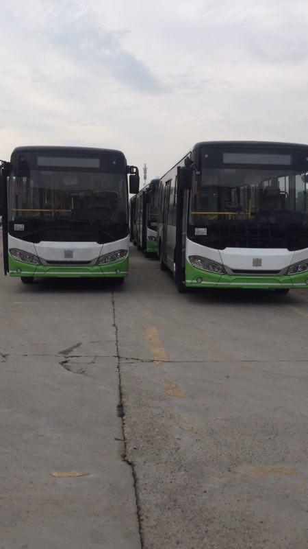mmexport1497660380212.jpg